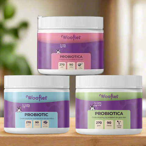 Woofies Probiotica Chews: Natuurlijk, smakelijk en gezond