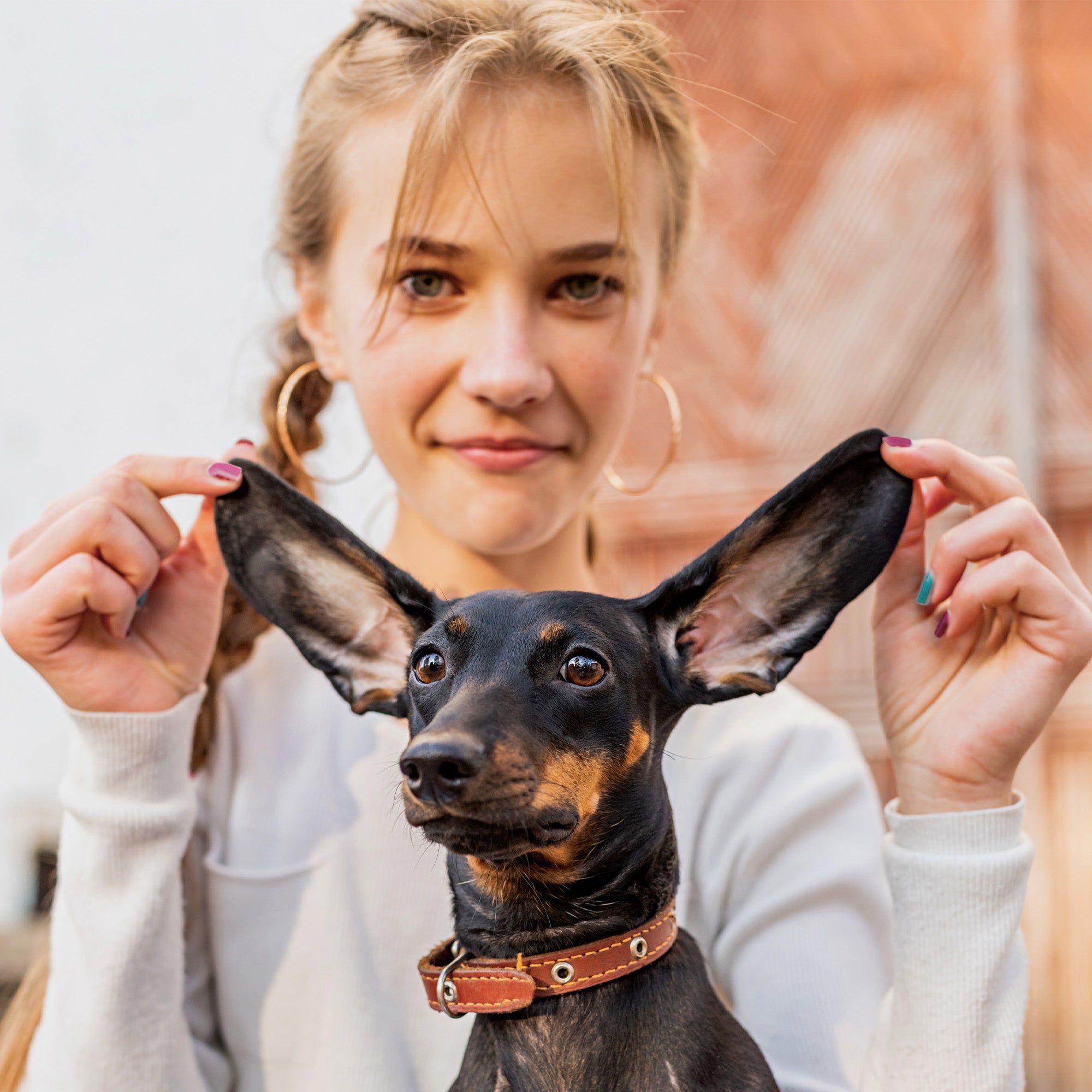 Verbeter de Gewrichtsgezondheid van Je Hond met Woofies Hip & Joint Chews