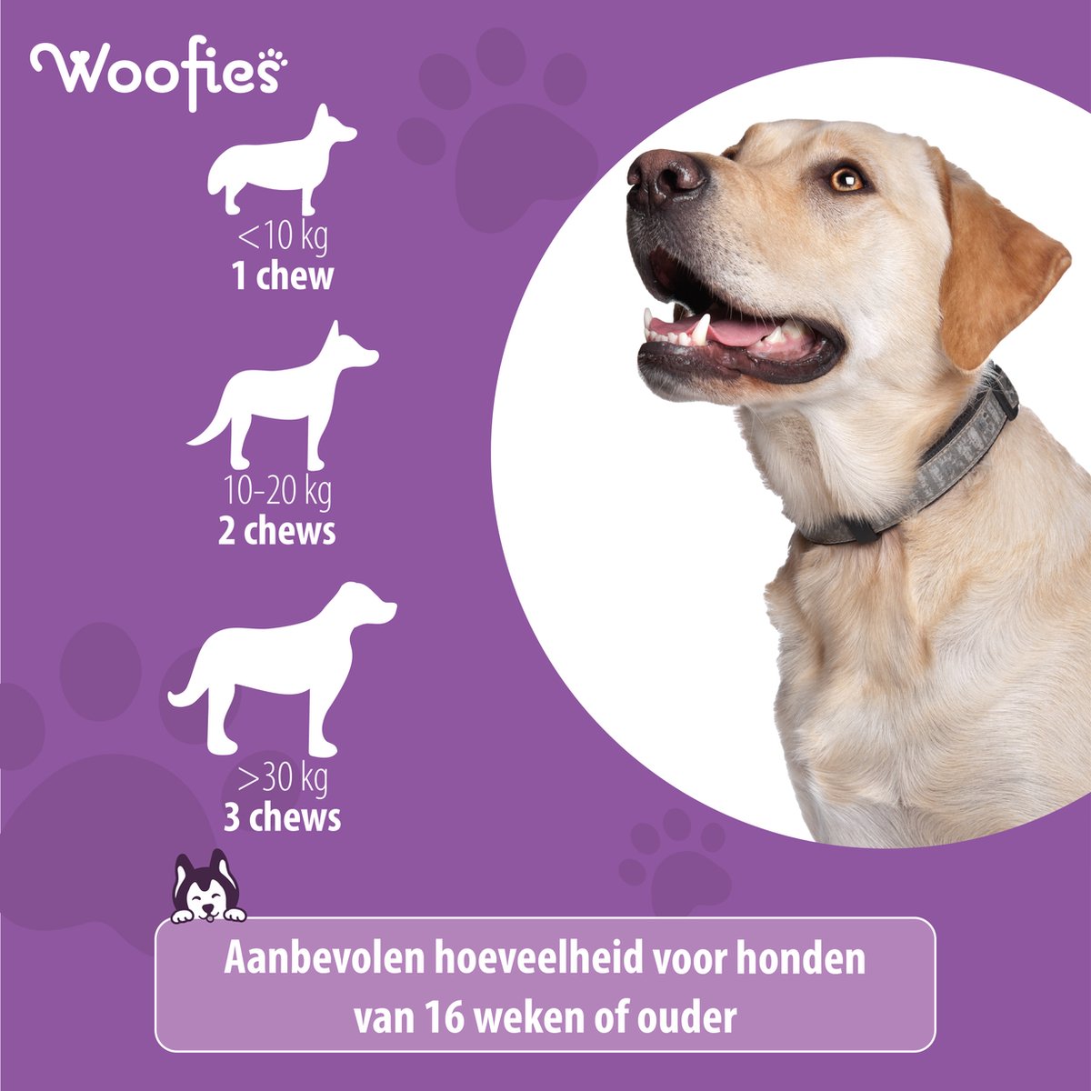 Ingrediëntenlijst en voordelen van Woofies Probiotica voor honden, verbetert welzijn.