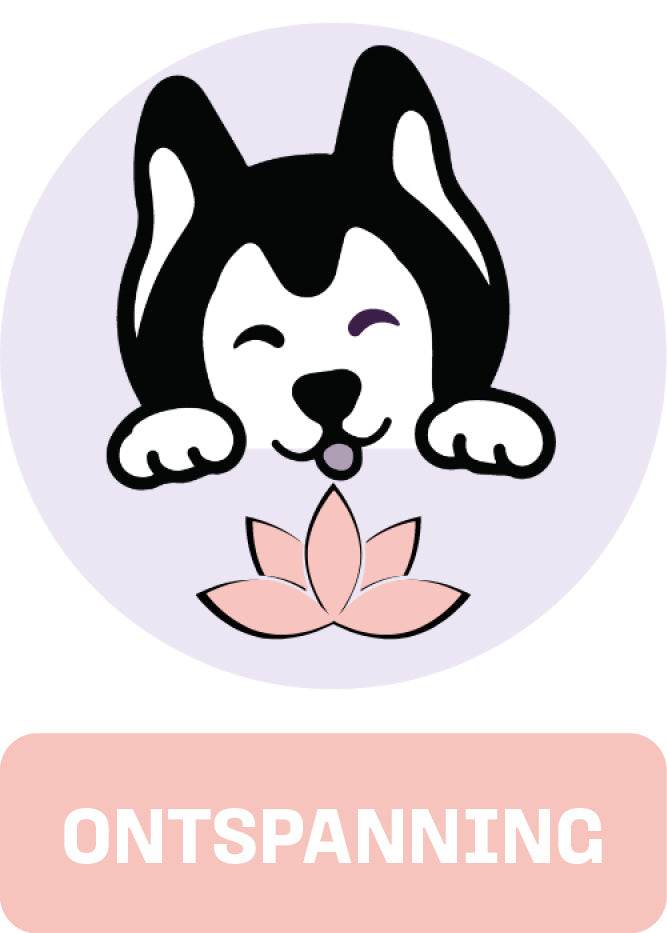 "Visual van Woofies Calming Chews collectie, met supplementen bedoeld om stress en angst bij honden te verminderen, voor een rustiger en gelukkiger huisdier."