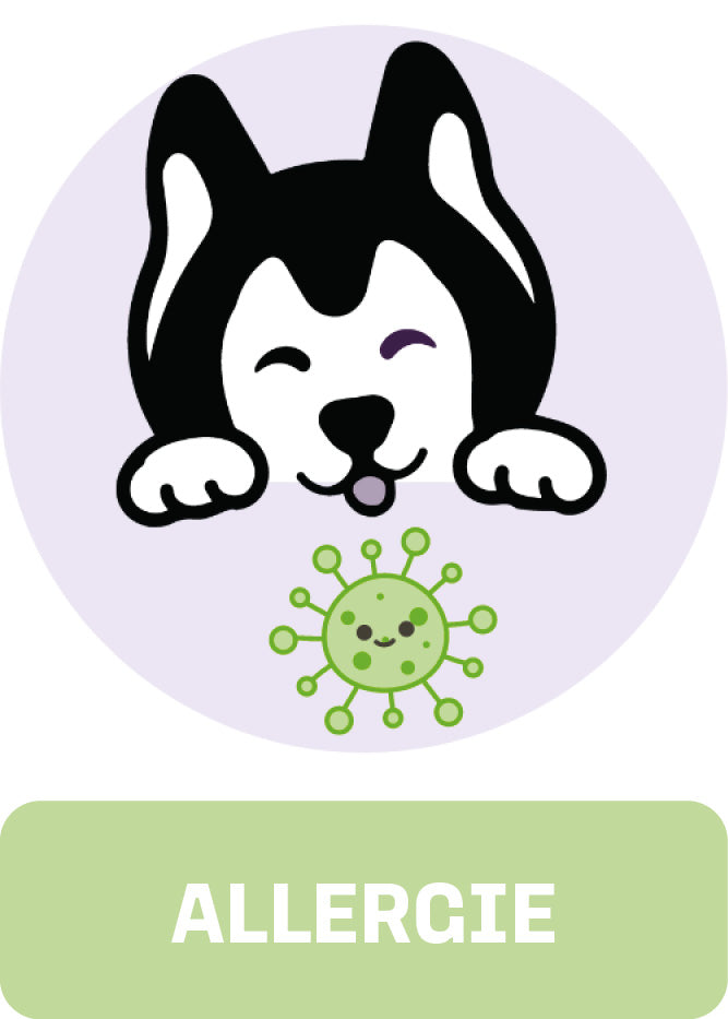 "Promotieafbeelding van Woofies Allergie Support Chews collectie, gericht op natuurlijke verlichting voor honden met allergieën."