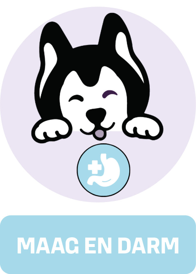 "Overzichtsafbeelding van Woofies Probiotica & Prebiotica Kauwsnoepjes collectie voor honden, met nadruk op ondersteuning van darmgezondheid en bestrijding van jeuk."