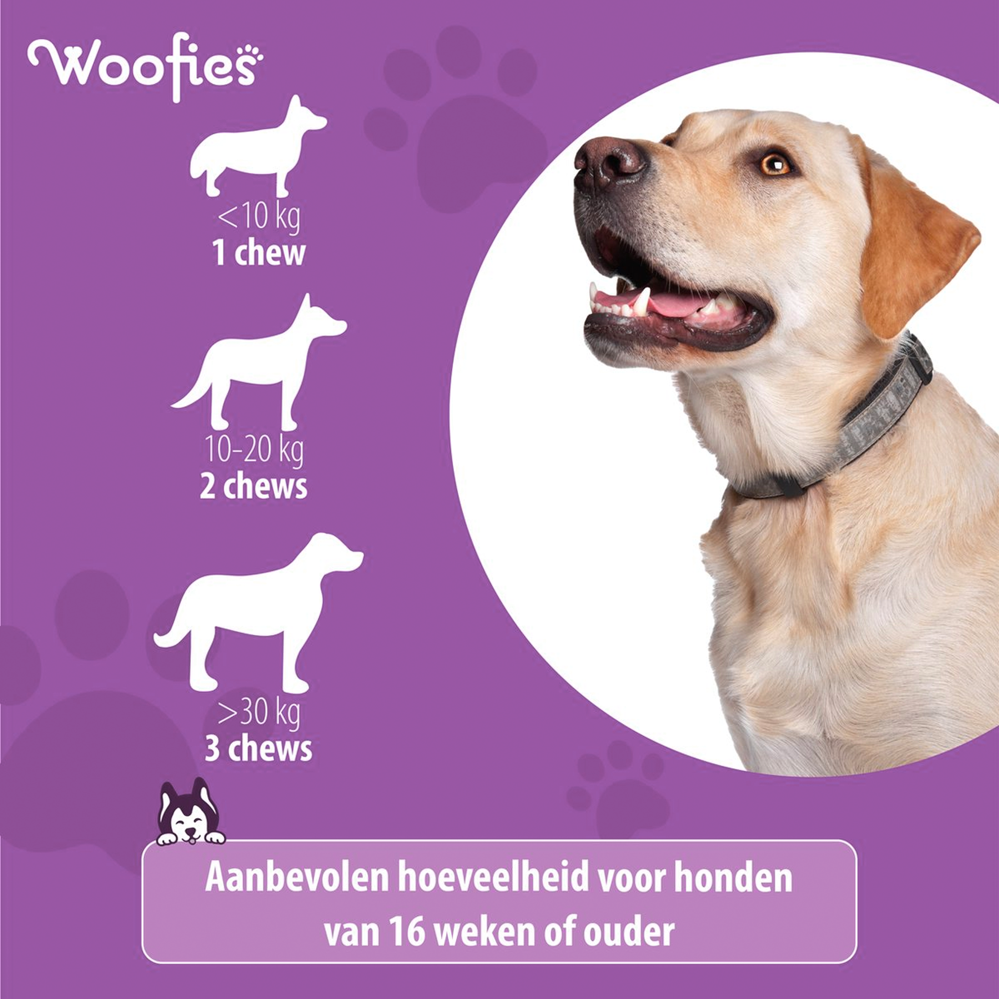 Hond krijgt Woofies Hip & Joint Chew voor verbeterde gewrichtsgezondheid.
